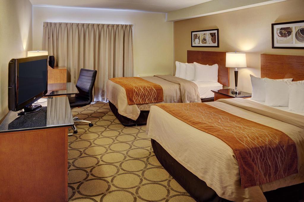 Comfort Inn Hamilton Bagian luar foto