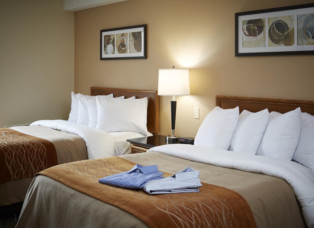 Comfort Inn Hamilton Bagian luar foto