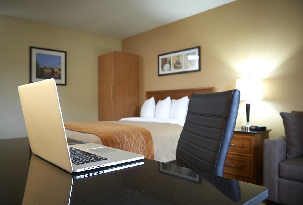 Comfort Inn Hamilton Bagian luar foto