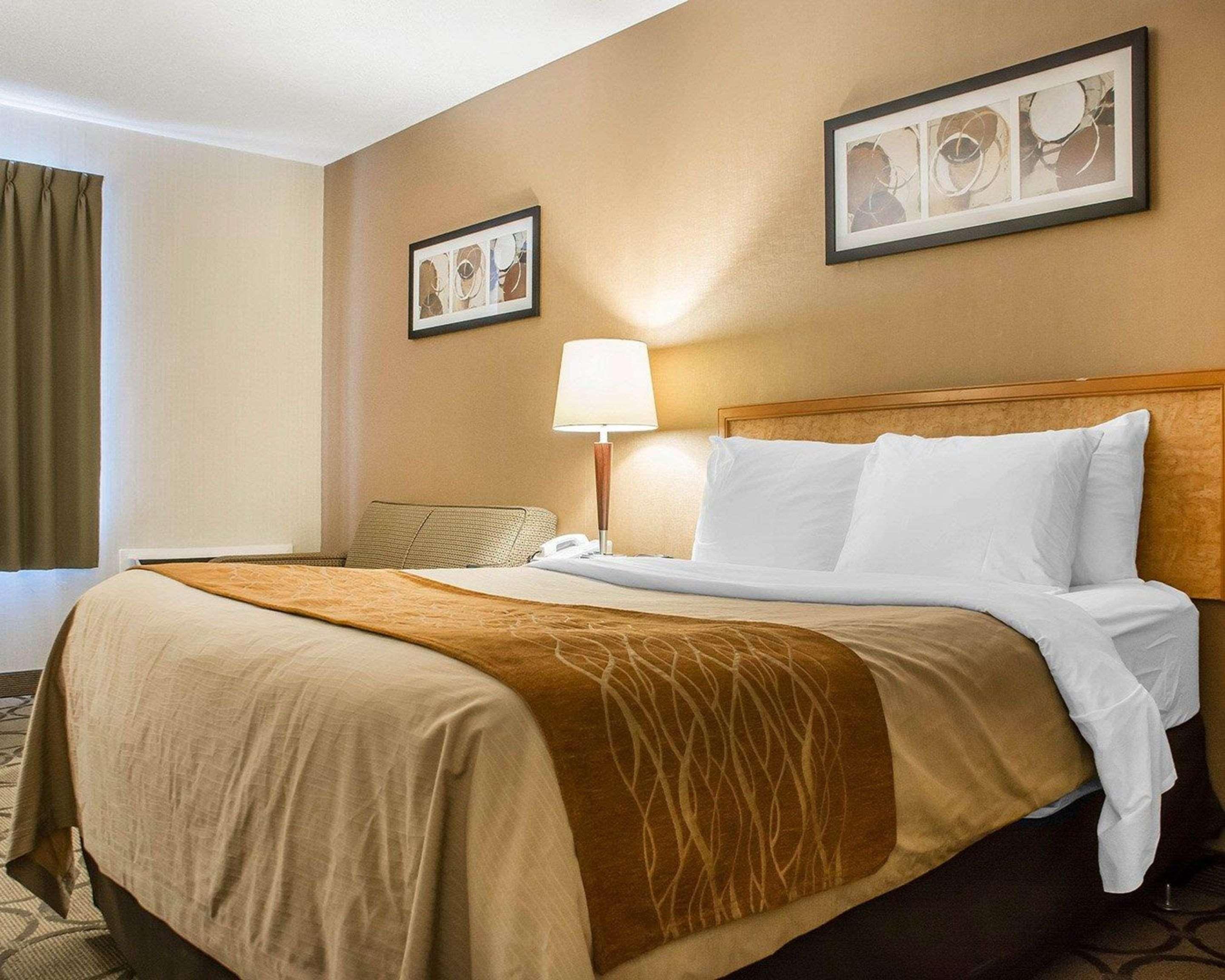 Comfort Inn Hamilton Bagian luar foto