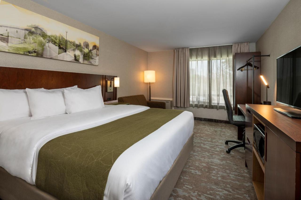 Comfort Inn Hamilton Bagian luar foto